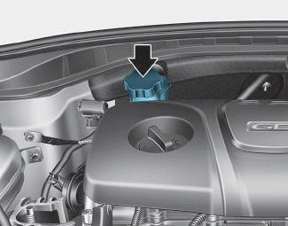 Hyundai i30. Brake/clutch fluid