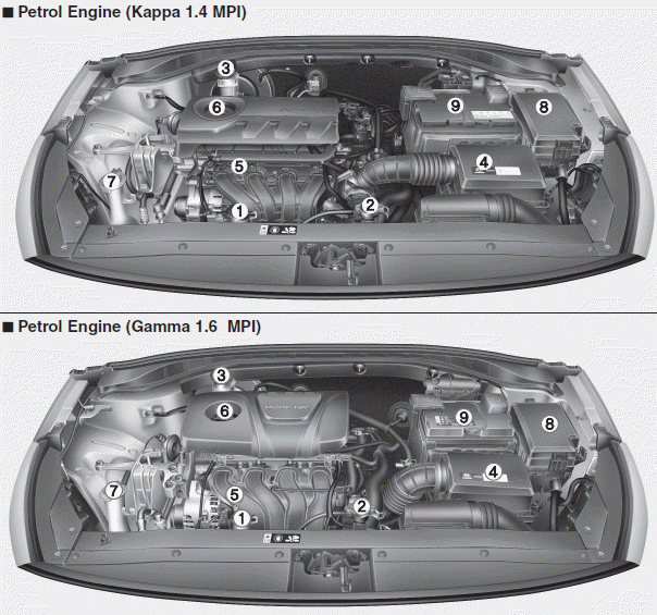 Hyundai i30. Engine compartment