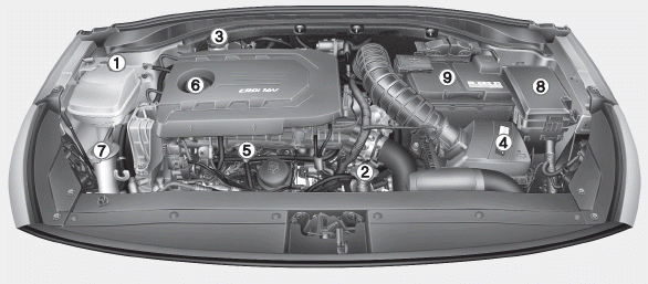 Hyundai i30. Engine compartment
