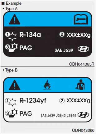Hyundai i30. System maintenance